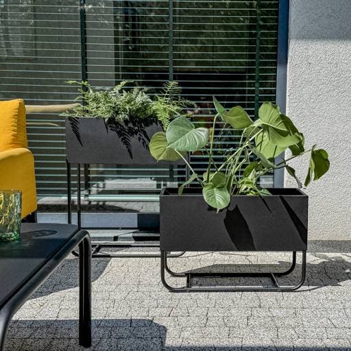 https://dajar.pl/media/catalog/product/4/6/463928_463929_01.jpg