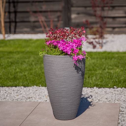https://dajar.pl/media/catalog/product/5/7/577a0625-edit_1.jpg