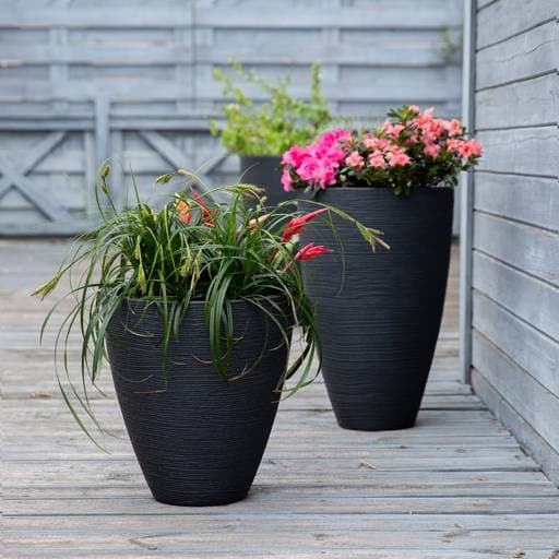 https://dajar.pl/media/catalog/product/5/7/577a5540-edit_1.jpg
