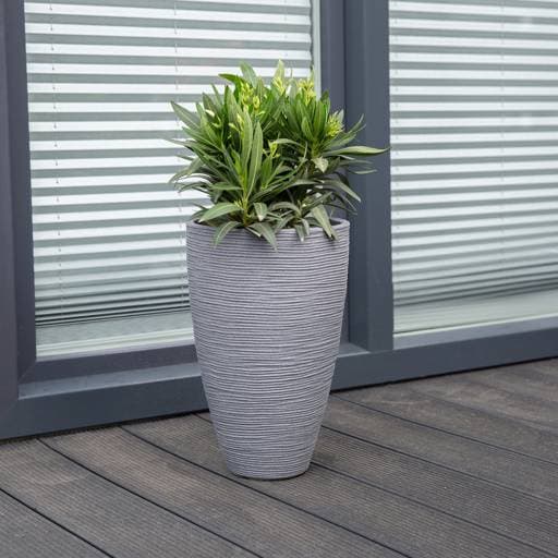 https://dajar.pl/media/catalog/product/9/0/90229.jpg