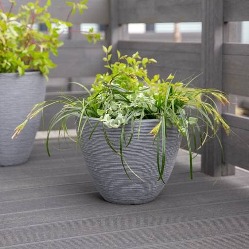 https://dajar.pl/media/catalog/product/9/0/90233.jpg