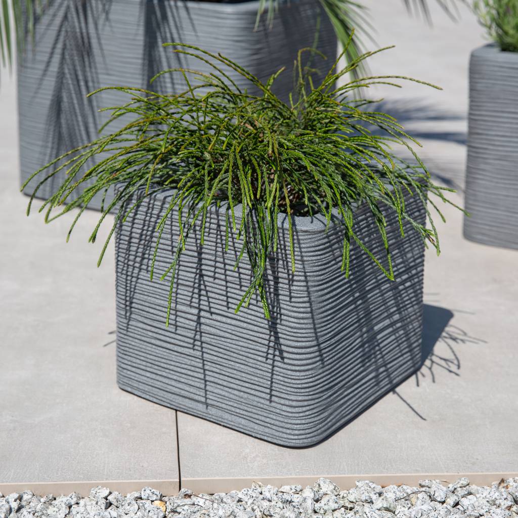 https://dajar.pl/media/catalog/product/2/6/26545.jpg