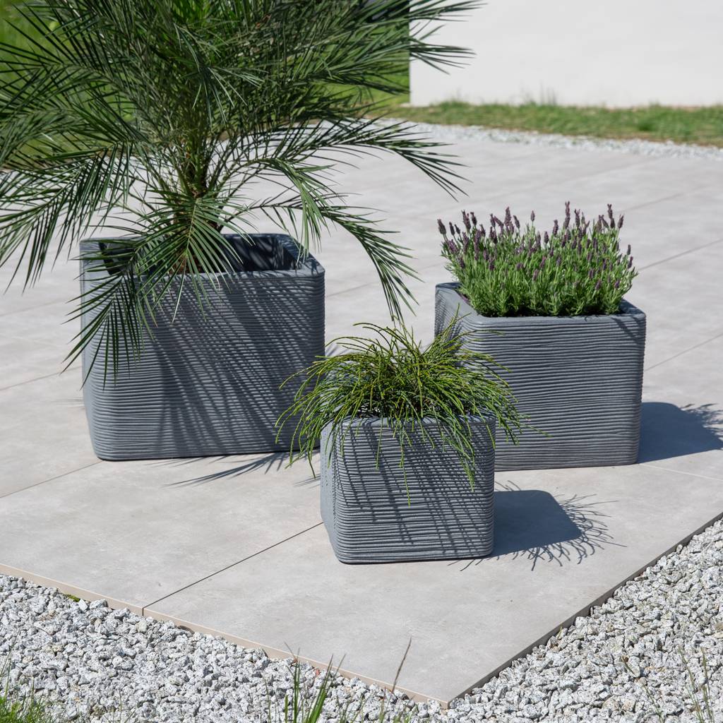 https://dajar.pl/media/catalog/product/2/6/26545_26549_26552_1.jpg