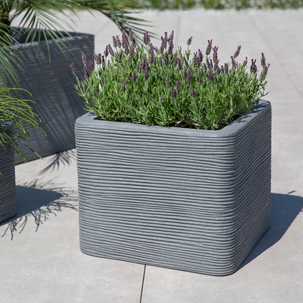 https://dajar.pl/media/catalog/product/2/6/26549.jpg