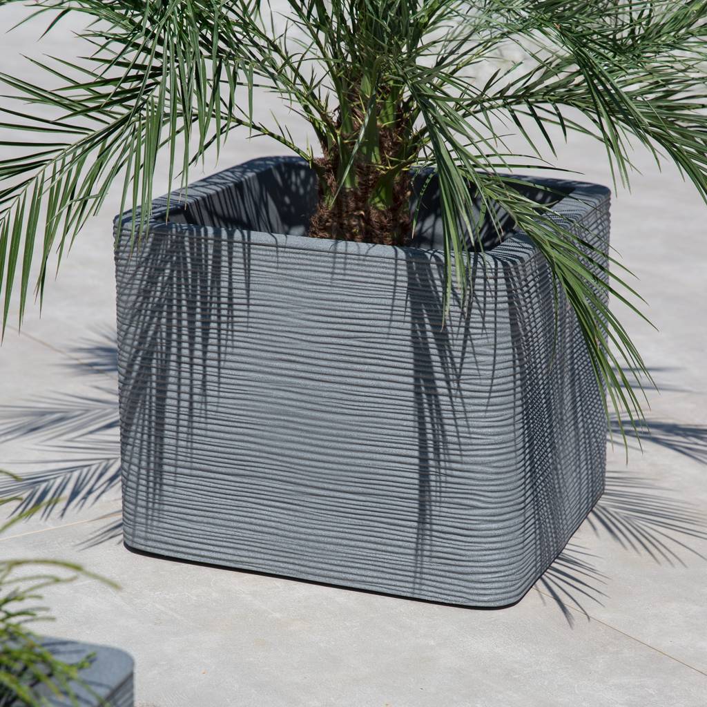 https://dajar.pl/media/catalog/product/2/6/26552_1_.jpg