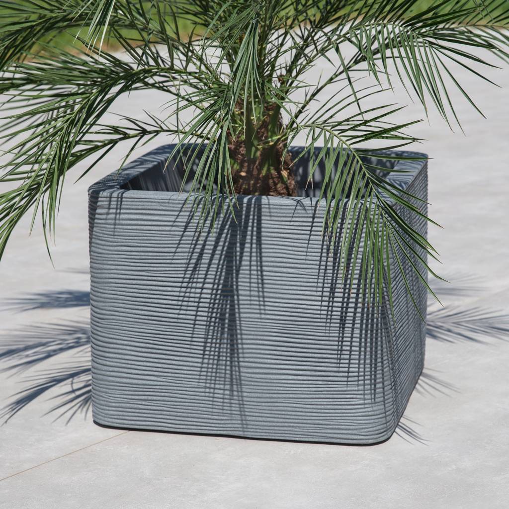 https://dajar.pl/media/catalog/product/2/6/26552_2_.jpg