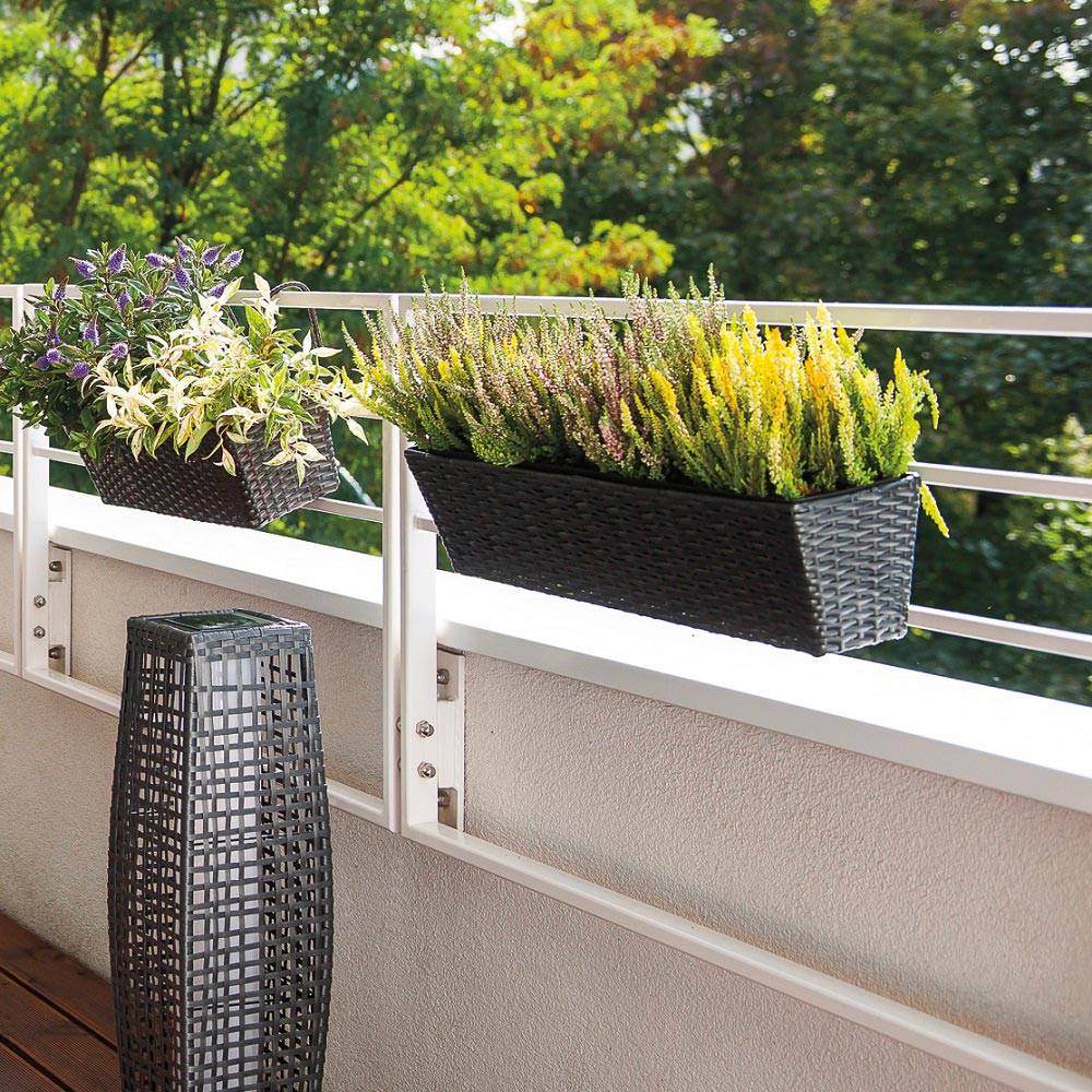 https://dajar.pl/media/catalog/product/4/7/47389/47389-01.jpg