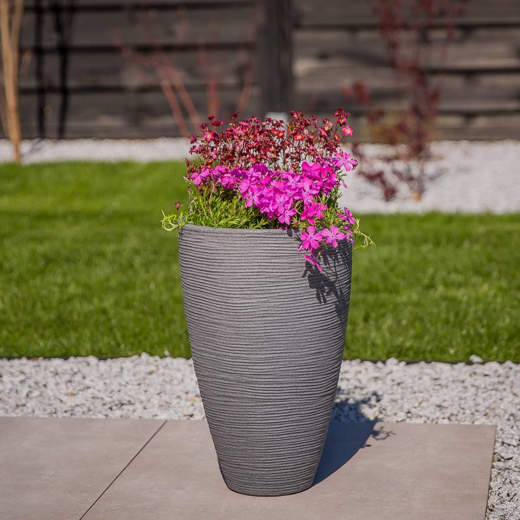 https://dajar.pl/media/catalog/product/5/7/577a0625-edit_1.jpg