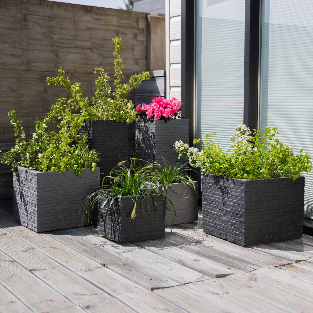 https://dajar.pl/media/catalog/product/5/7/577a5500-edit_3.jpg