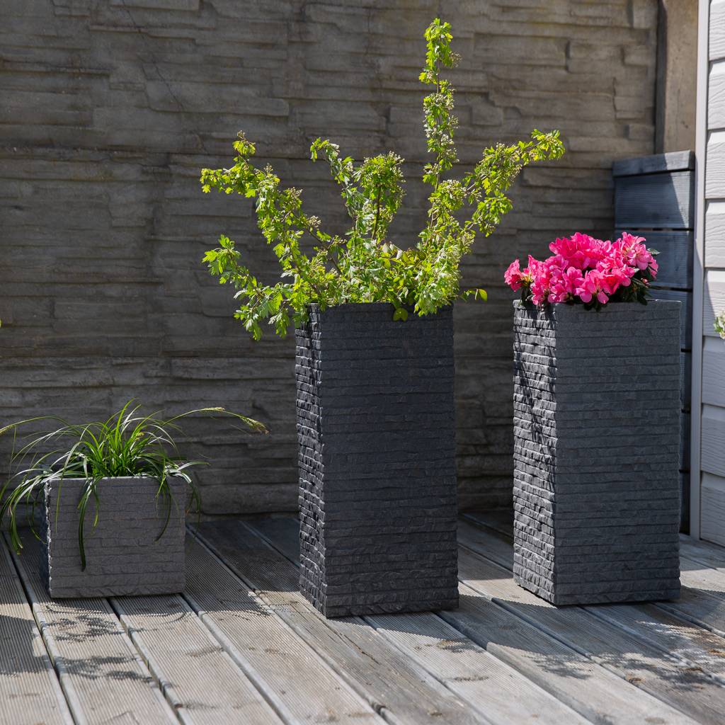 https://dajar.pl/media/catalog/product/5/7/577a5507-edit_1.jpg