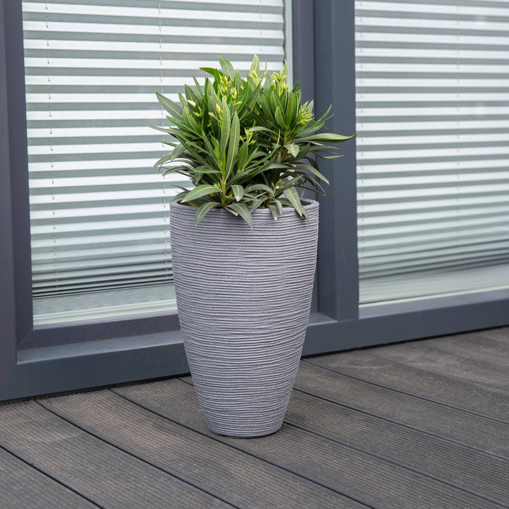 https://dajar.pl/media/catalog/product/9/0/90229.jpg