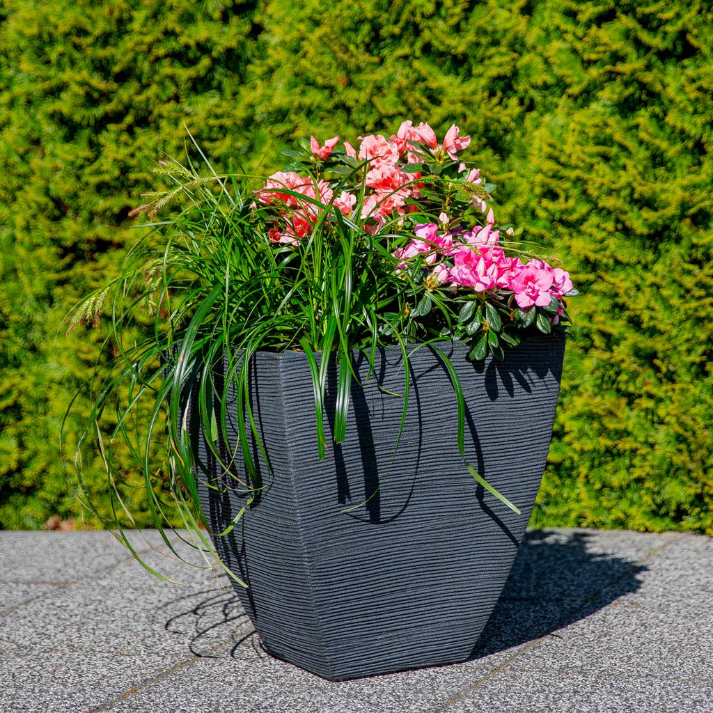 https://dajar.pl/media/catalog/product/9/0/90240_2_.jpg