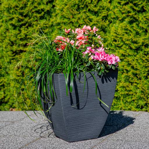 https://dajar.pl/media/catalog/product/9/0/90240_2_.jpg