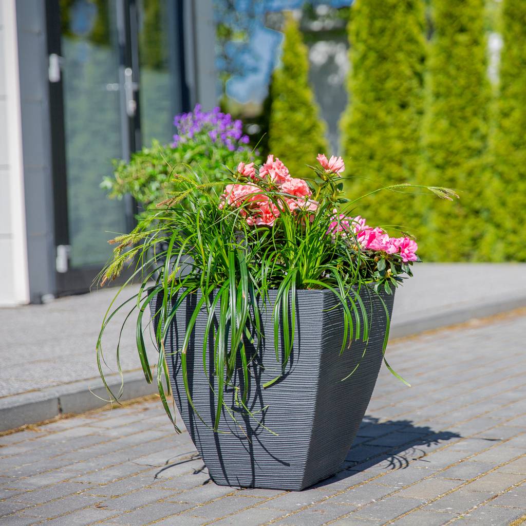 https://dajar.pl/media/catalog/product/9/0/90240.jpg