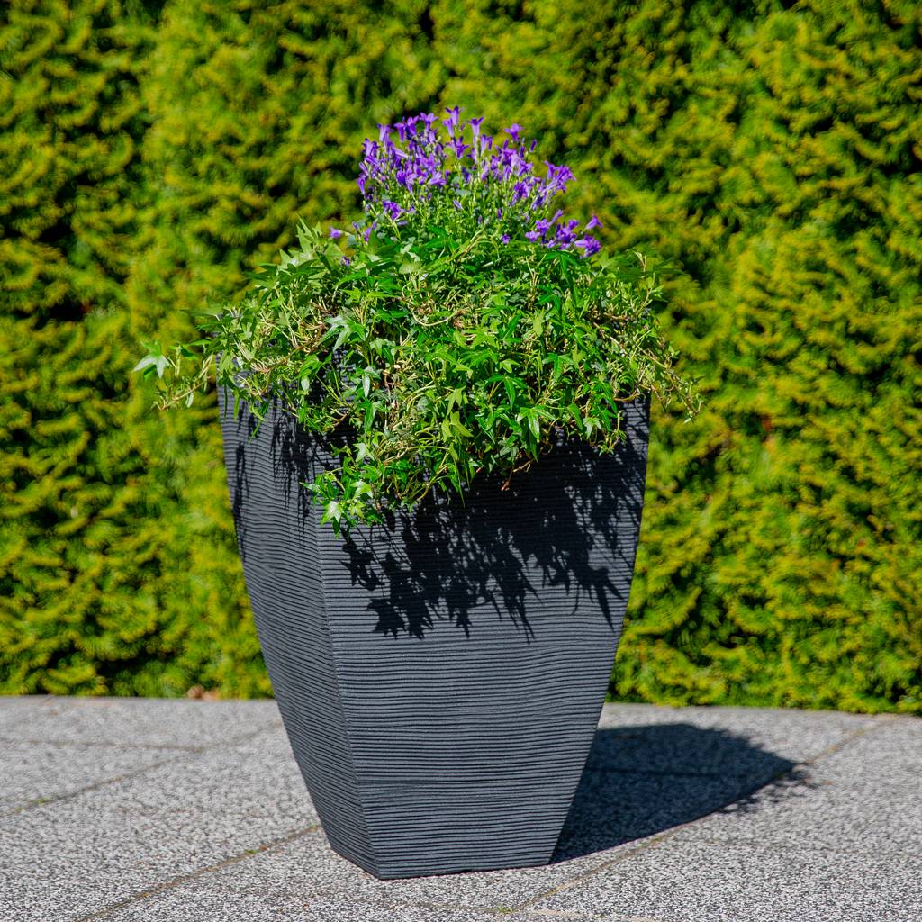 https://dajar.pl/media/catalog/product/9/0/90242.jpg